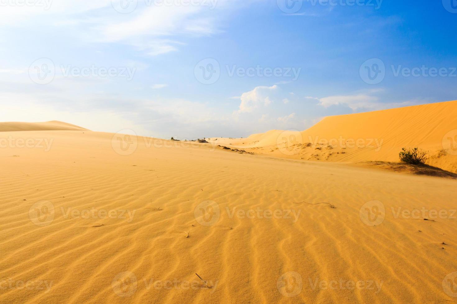 vague sur le désert à mui ne sud vietnam photo