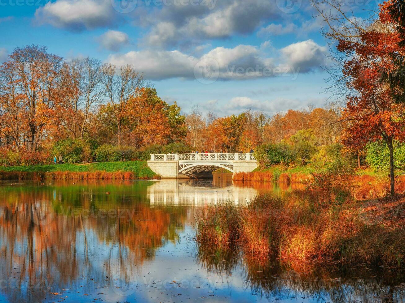 pittoresque l'automne paysage avec une étang. magnifique l'automne terres photo