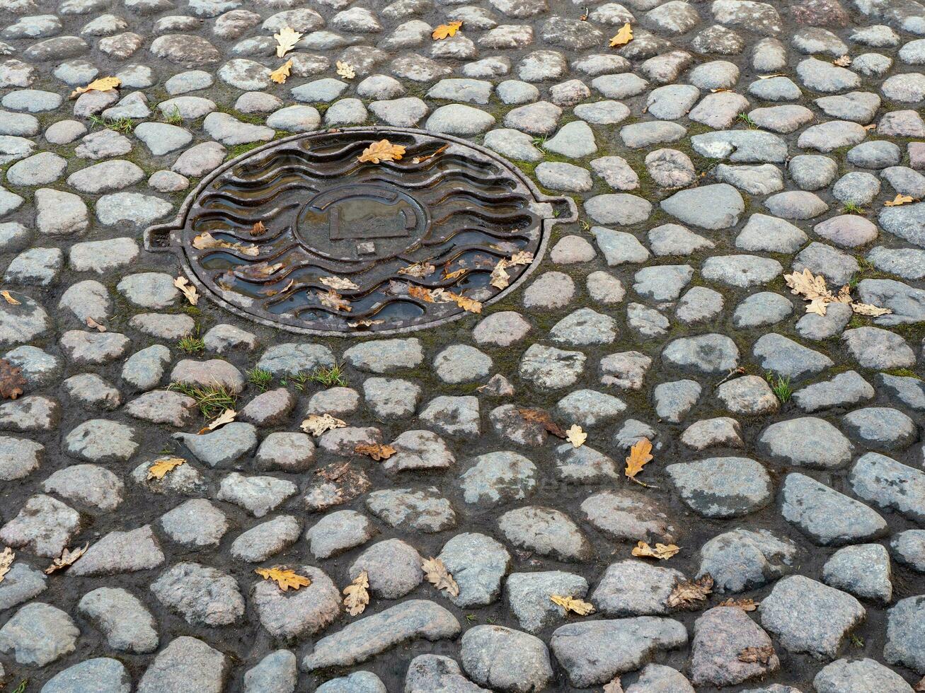 la trappe sur le pavé rue dans l'automne. photo