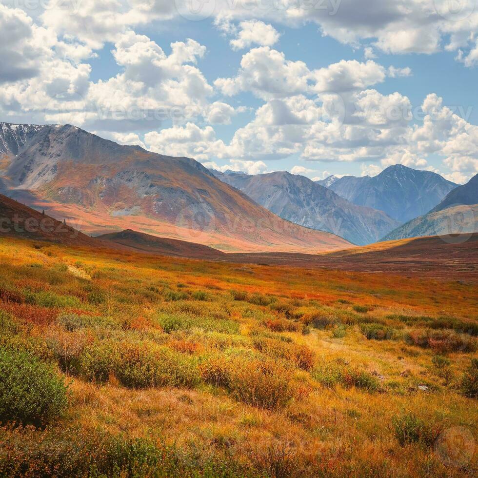 scénique l'automne paysage avec le coucher du soleil Montagne passer en dessous de bleu nuageux ciel dans changeable temps. coloré l'automne Montagne paysage avec collines et rouge nain bouleau arbuste. montagnes dans lumière du soleil. carré vue photo