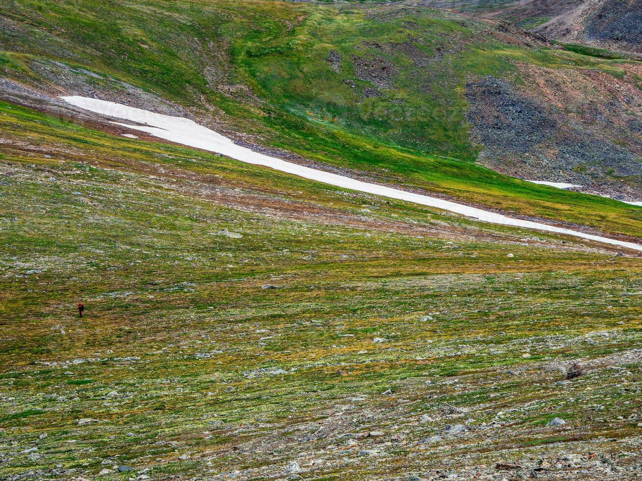 minimaliste alpin paysage avec haute vert Montagne vallée dans lumière du soleil. scénique Montagne paysage avec changeable temps dans hauts plateaux. lumière du soleil et ombre. texture de le alpin vert pente. photo
