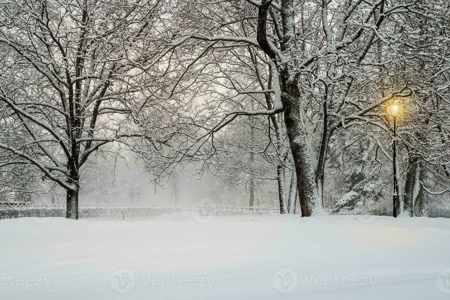 Tempête De Neige dans le soir hiver parc. illuminé ville parc à soir. couvert de neige des arbres après une Tempête De Neige. foncé atmosphérique hiver paysage urbain. tourisme, des loisirs, Noël, les vacances, centre ville. photo