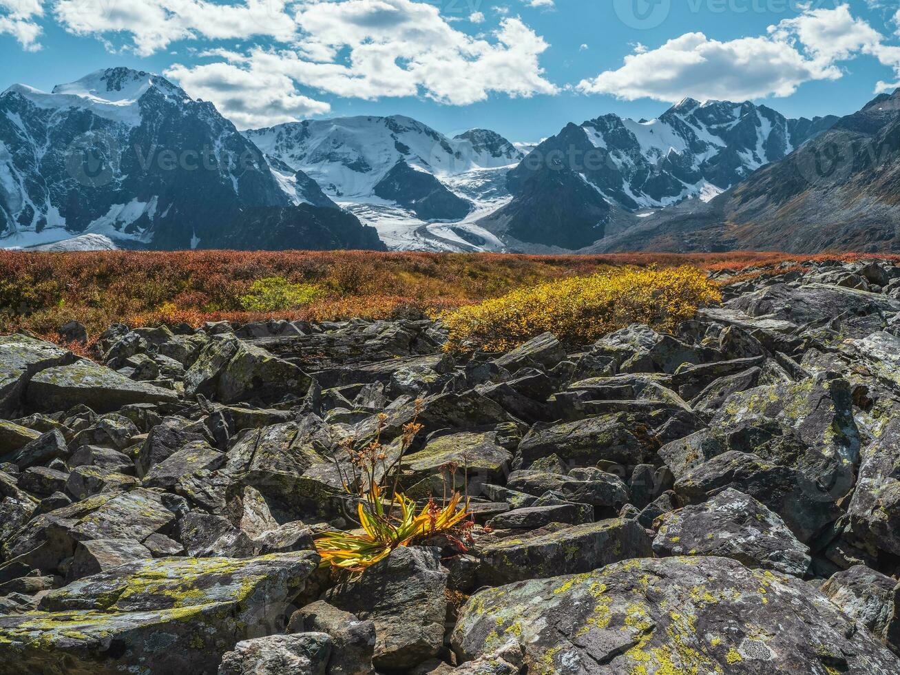 pierre rivière appelé aussi pierre courir, pierre courant ou pierre mer sur l'automne altaï montagnes. photo