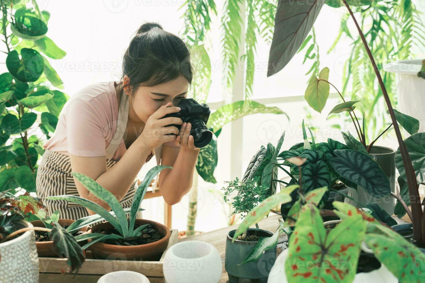 souriant Jeune femme prise téléphone intelligent image de plante dans une petit magasin photo