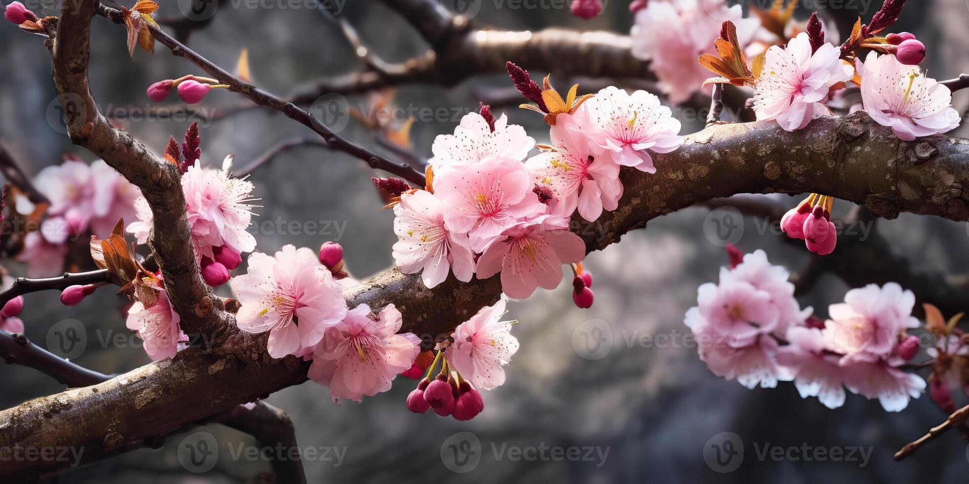 ai généré. ai génératif. traditionnel Japonais fleur Sakura Cerise fleur arbre. graphique art photo