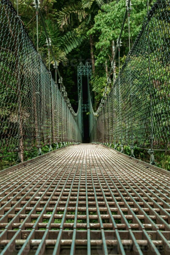 pendaison pont, Monteverde nuage forêt, costa rica photo