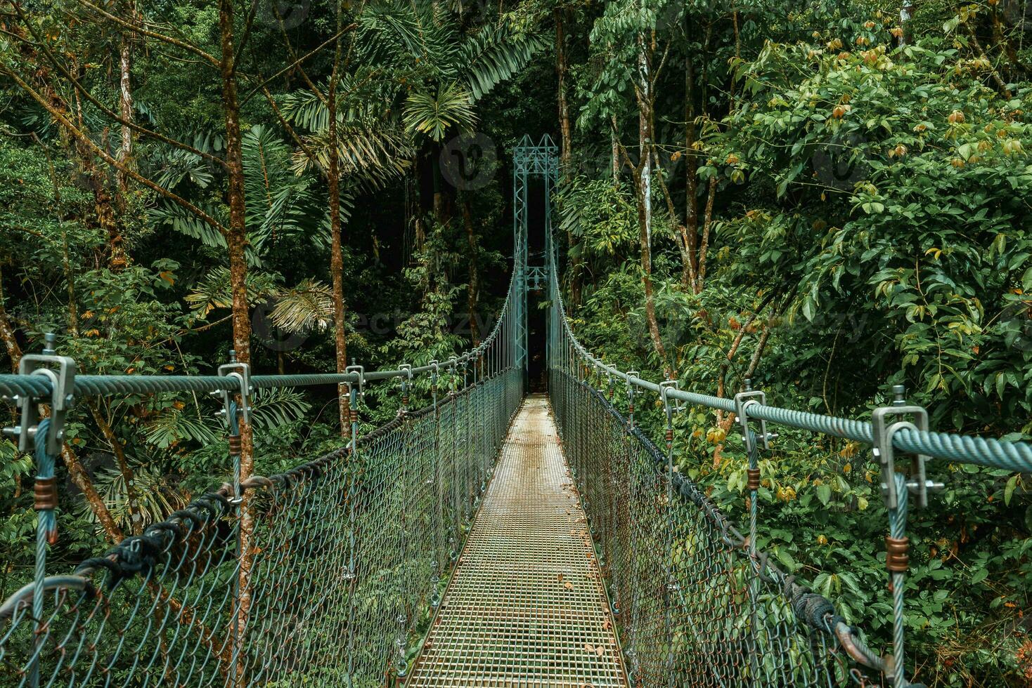 pendaison pont, Monteverde nuage forêt, costa rica photo