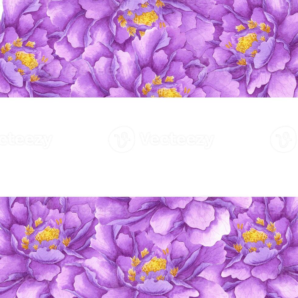 main tiré aquarelle violet pivoine Cadre pensionnaire isolé sur blanc Contexte. pouvez être utilisé pour invitation, carte postale, affiche, livre décoration et autre imprimé des produits. photo