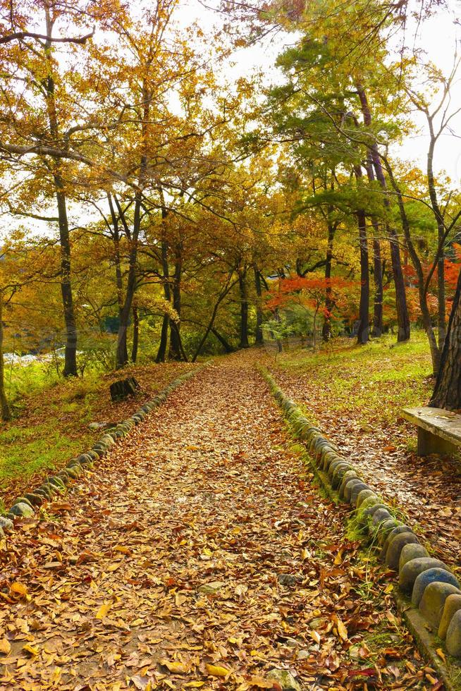 couleurs d'automne à nagatoro saitama photo