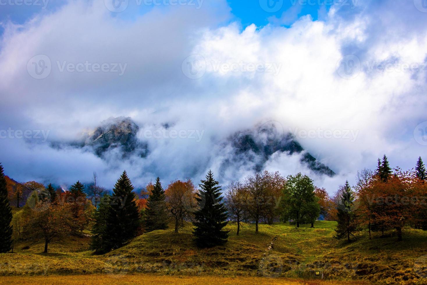 feuillage et montagnes cinq photo