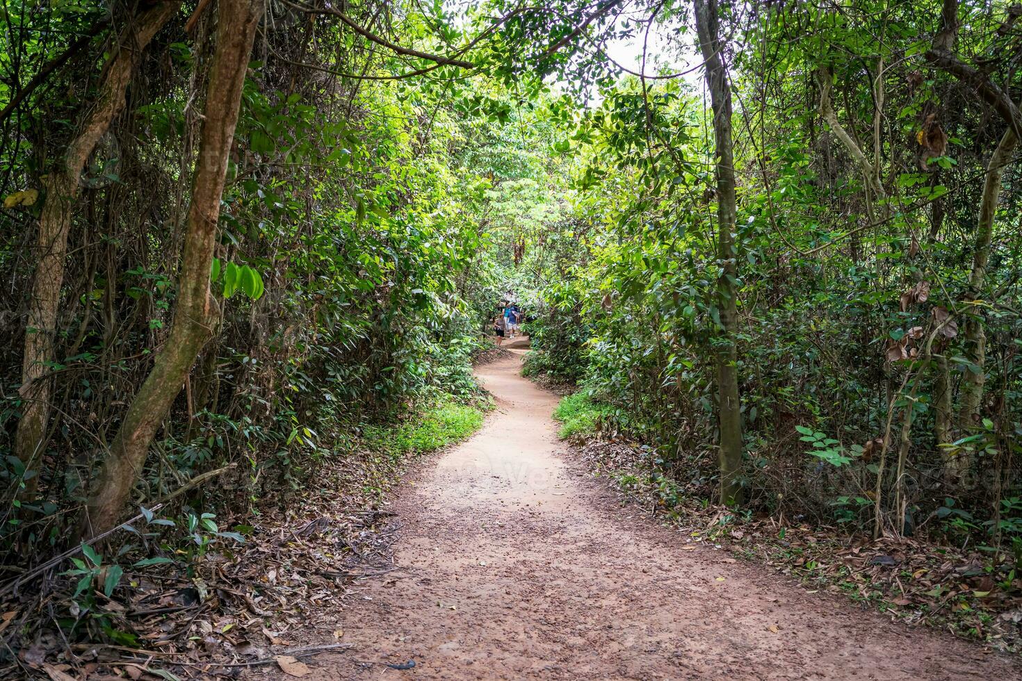 le cu chi tunnels. une guider démontrant Comment une vietcong cacher dans le tunnel. c'est utilisé dans vietnam guerre. célèbre touristique attraction dans vietnam. Stock photo