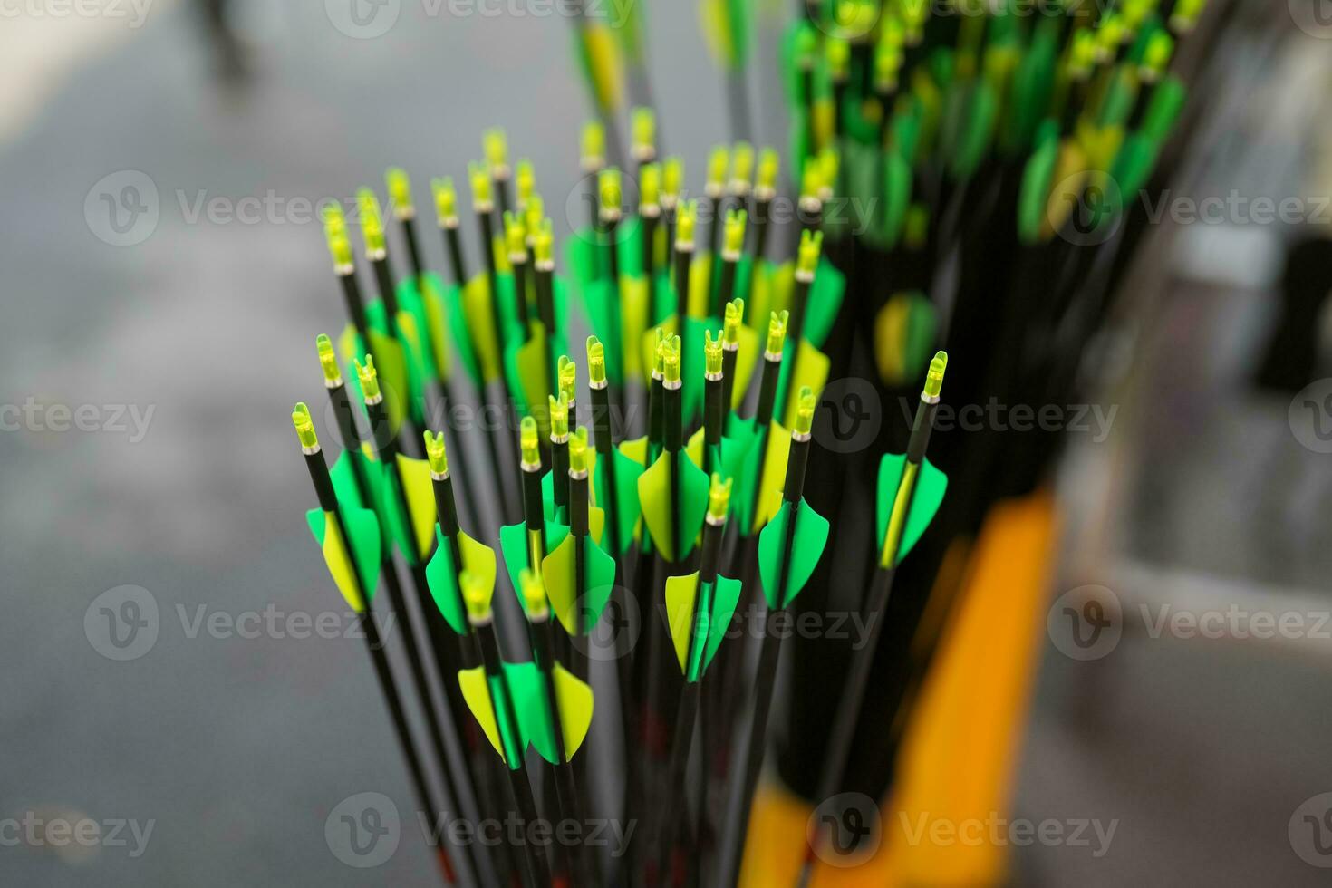 coloré groupe de tir à l'arc flèches spectacles empennage lequel sont Plastique aubes photo