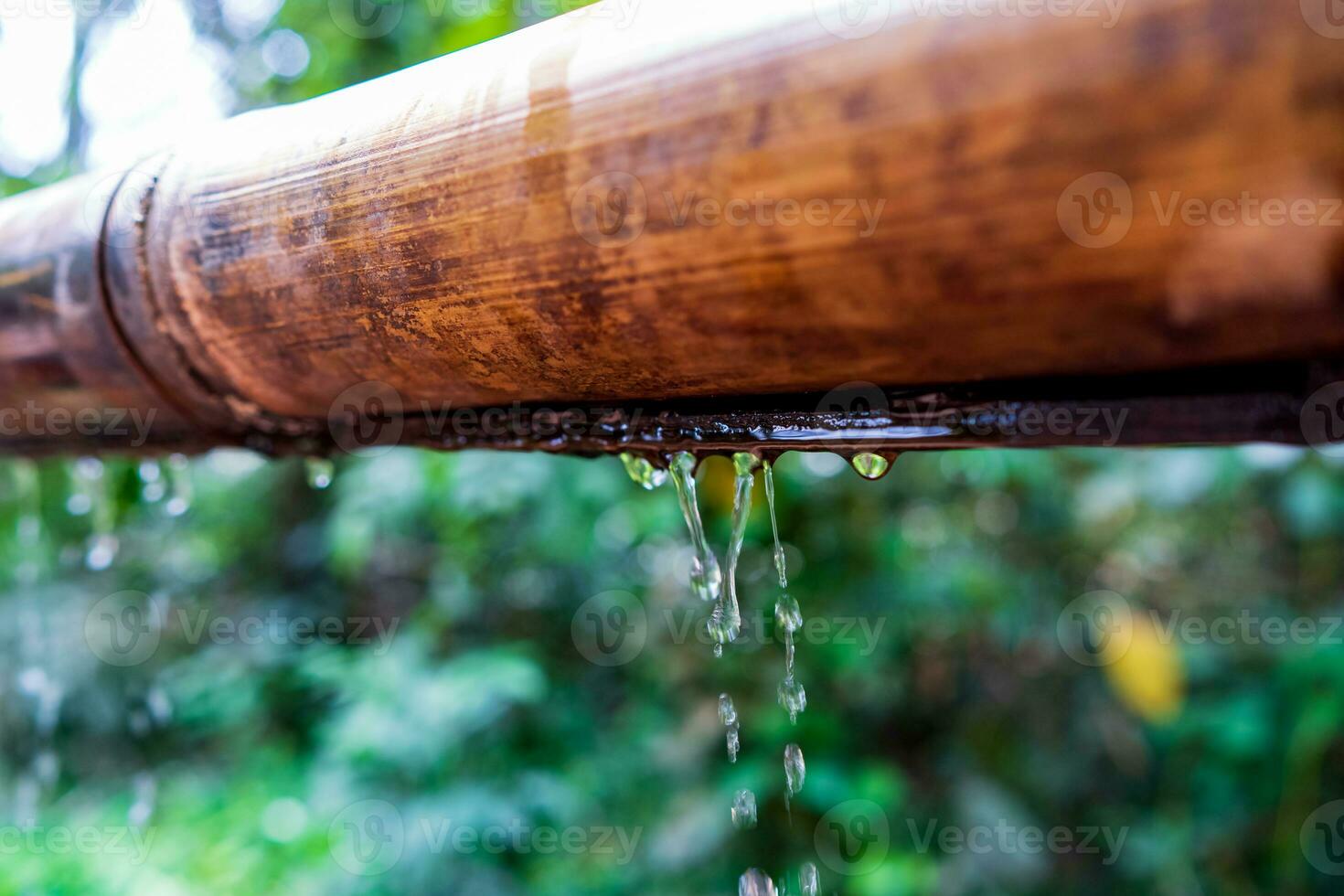 bambou avec l'eau courant plus de le l'eau , relaxation avec l'eau ondulation gouttes concept photo