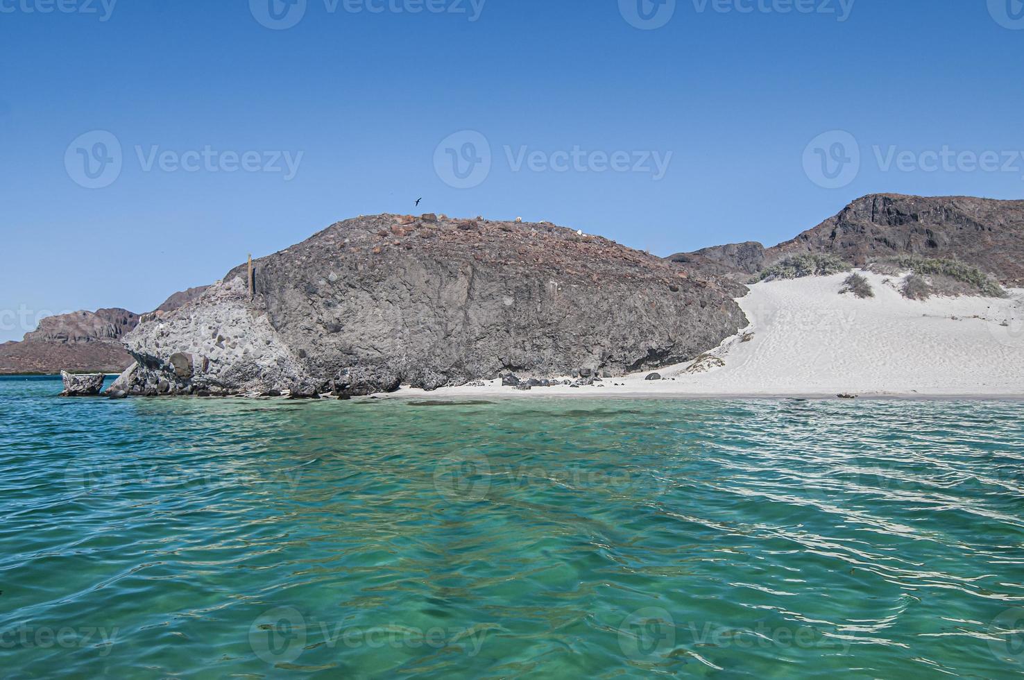 Balandra Beach à La Paz, Baja California photo