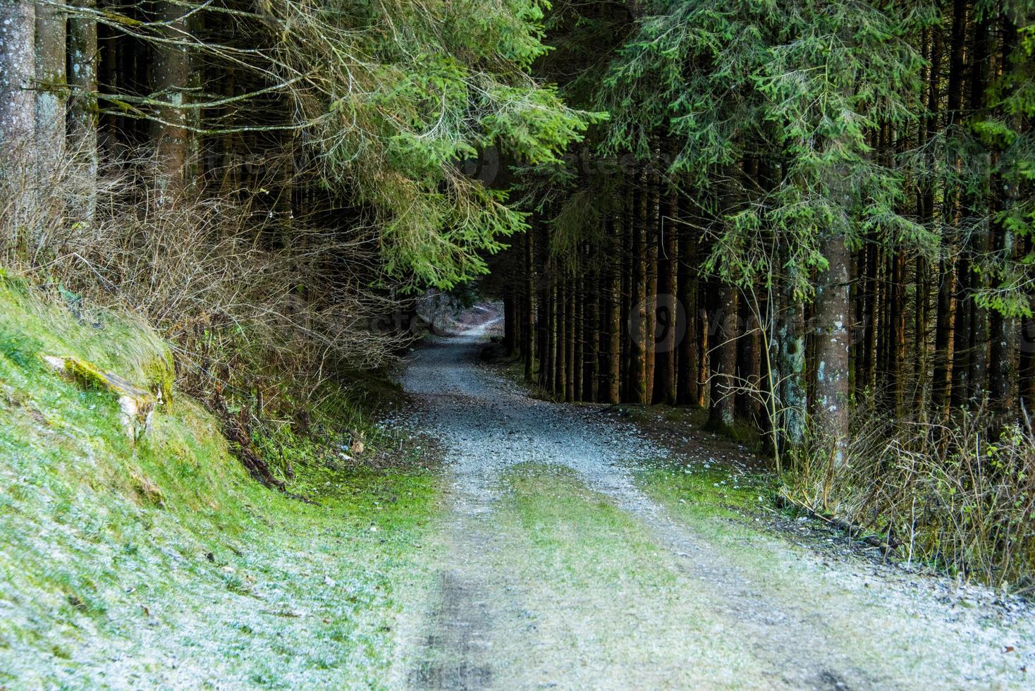 route de montagne glacée un photo