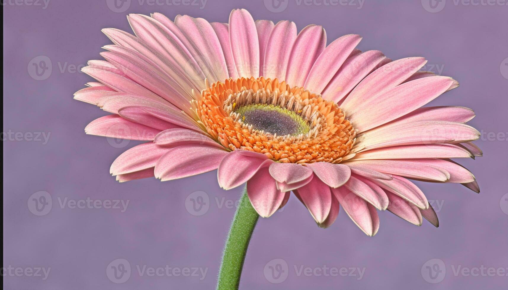 vibrant bouquet de marguerites, tournesols, et dahlias pour été romance généré par ai photo