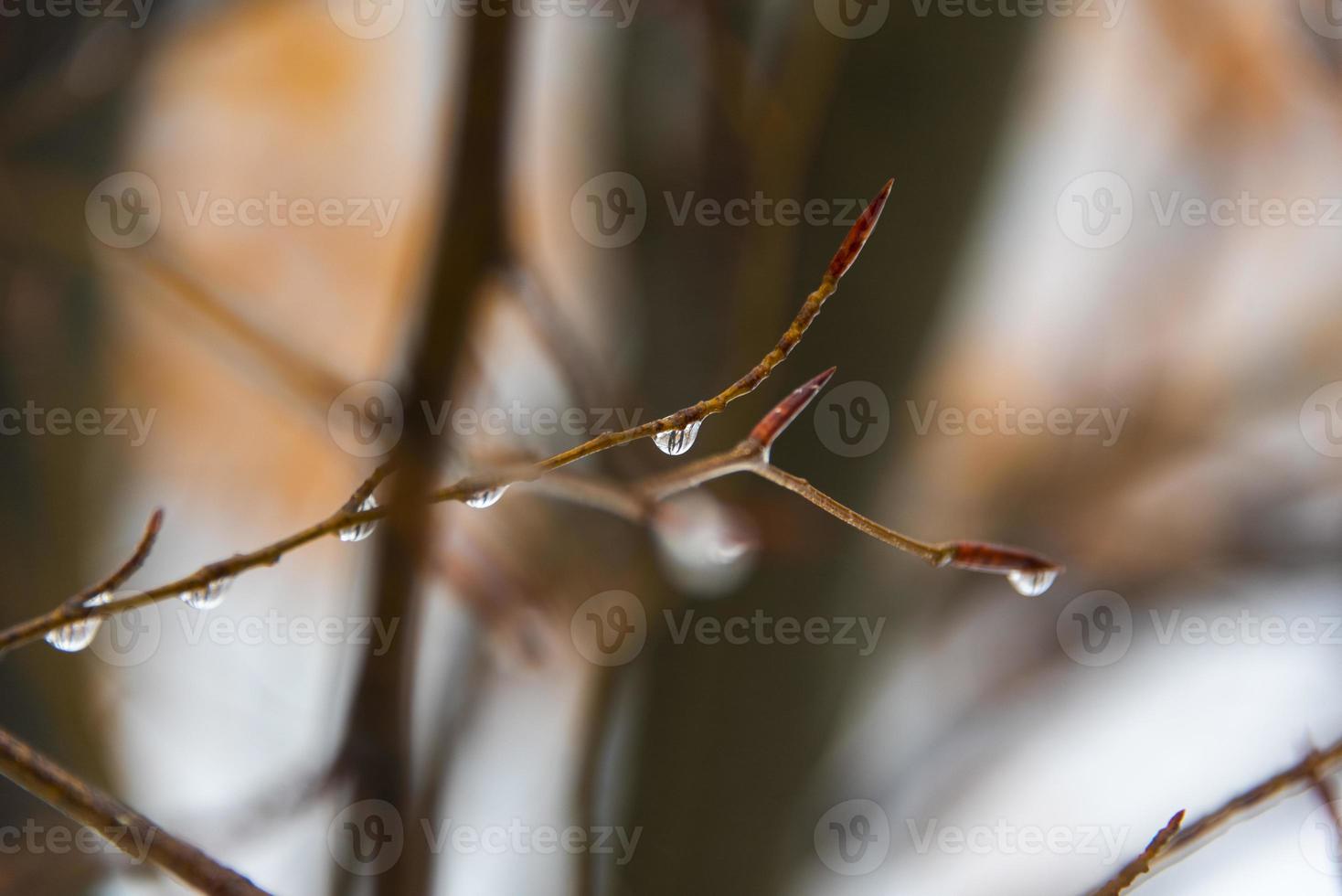 gouttes de vérité deux photo