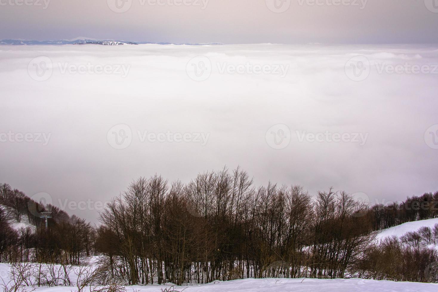 arbres nuages et neige deux photo