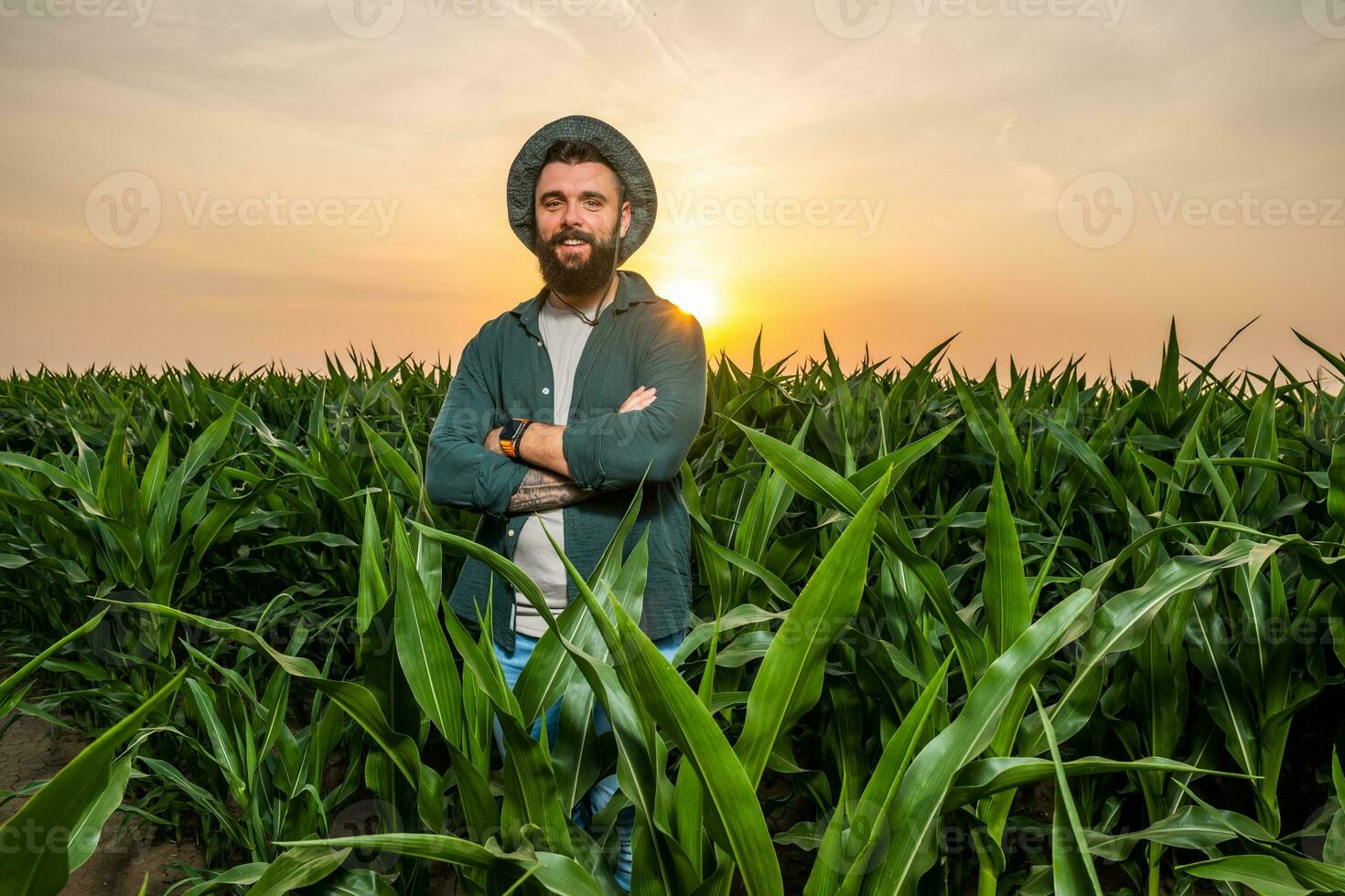 portrait de agriculteur qui est cultiver maïs. il est satisfait avec bien le progrès de les plantes. agricole profession. photo