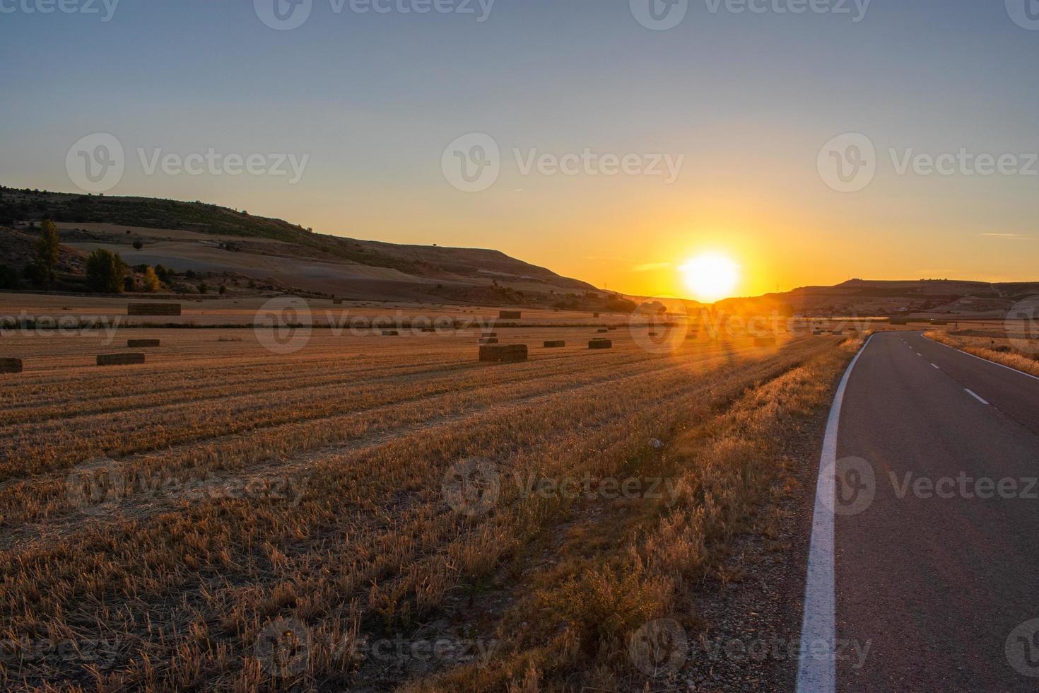 Route vide traversant un champ agricole au coucher du soleil photo