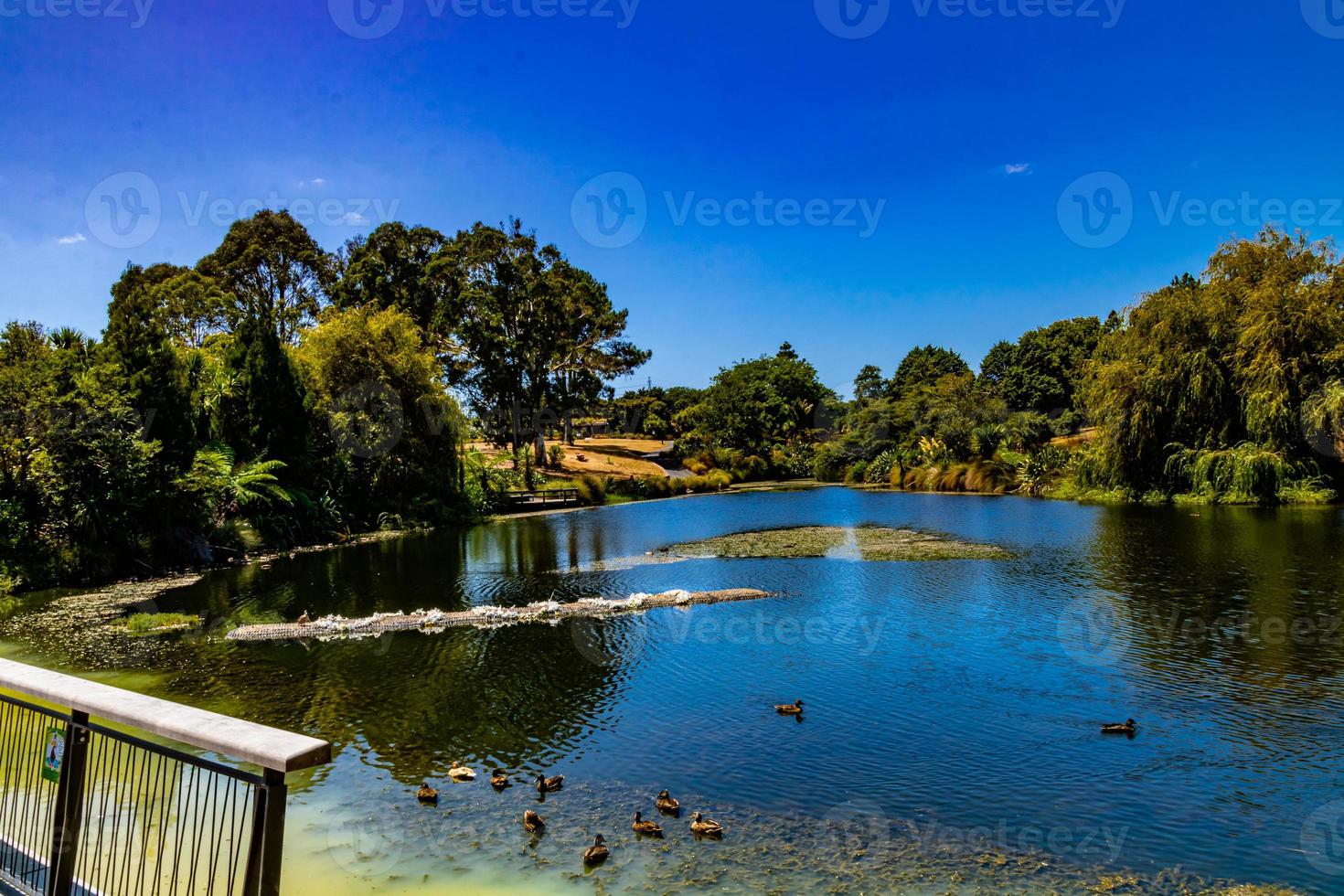 Vue sur le lac dans les jardins jardins botaniques d'Auckland Auckland Nouvelle-Zélande photo