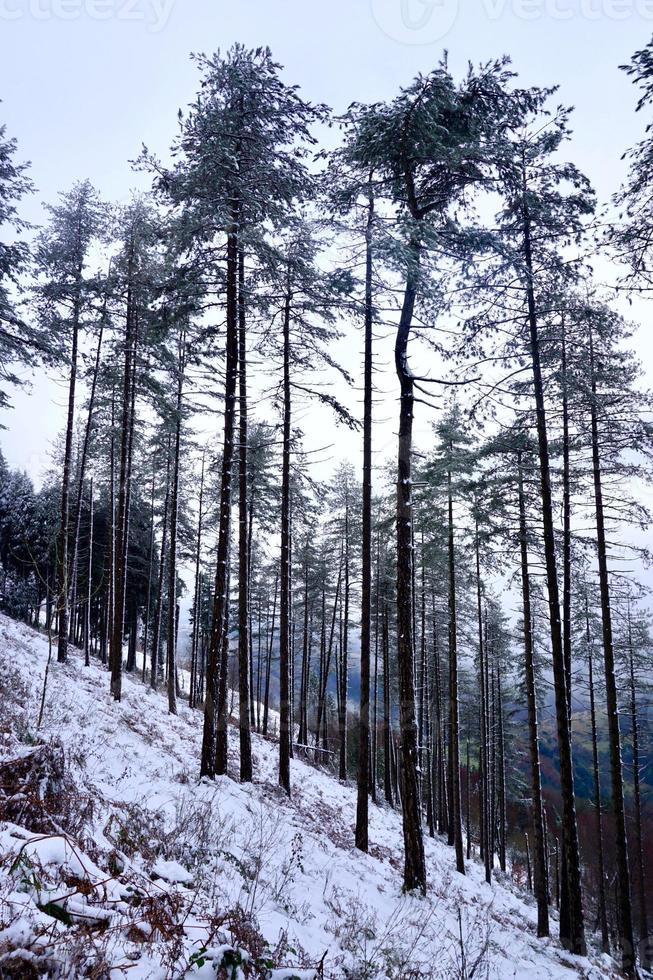 neige dans la montagne en hiver photo