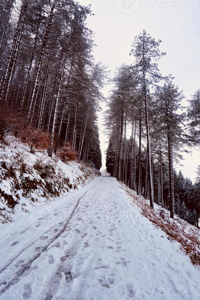 neige dans la montagne en hiver photo