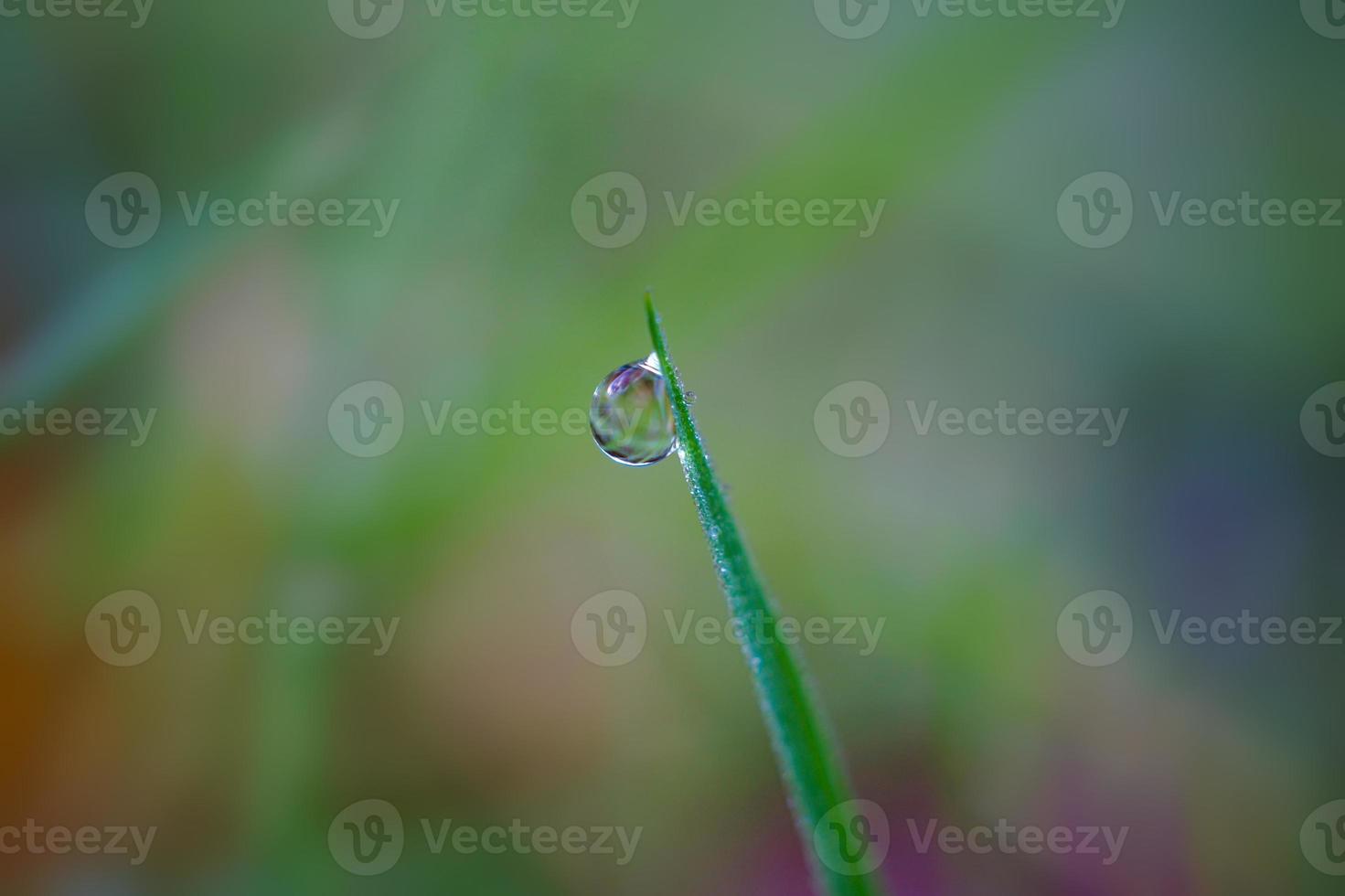 tomber sur l'herbe verte les jours de pluie photo