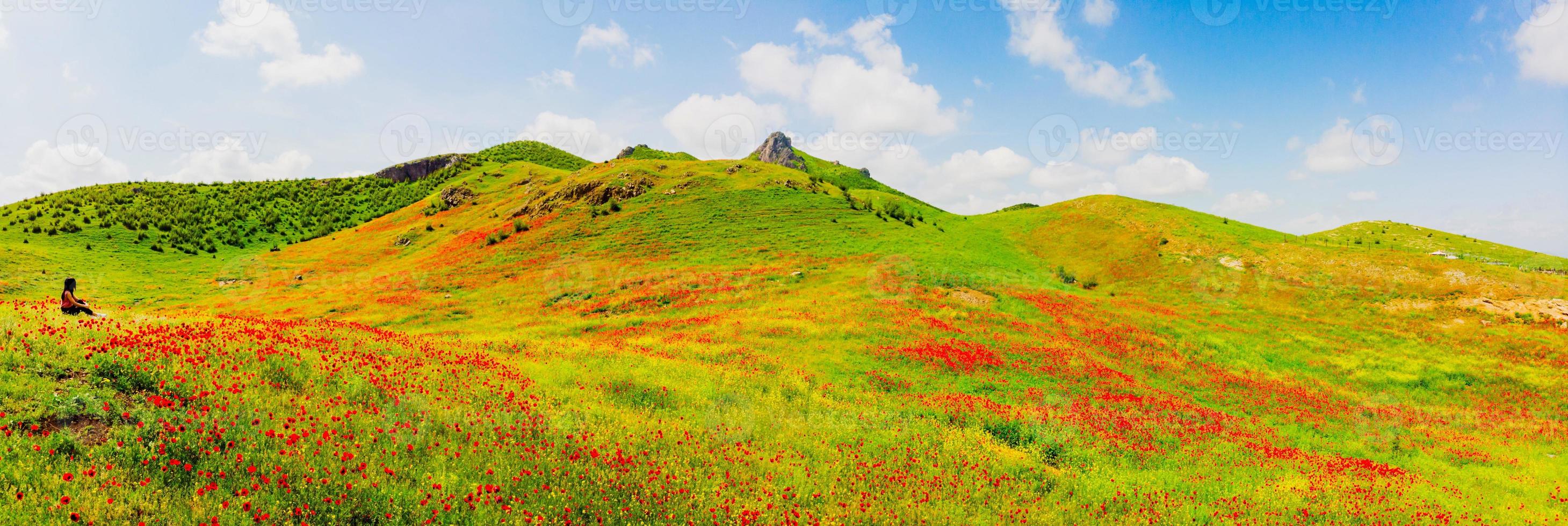 fille dans la nature aime le plein air photo