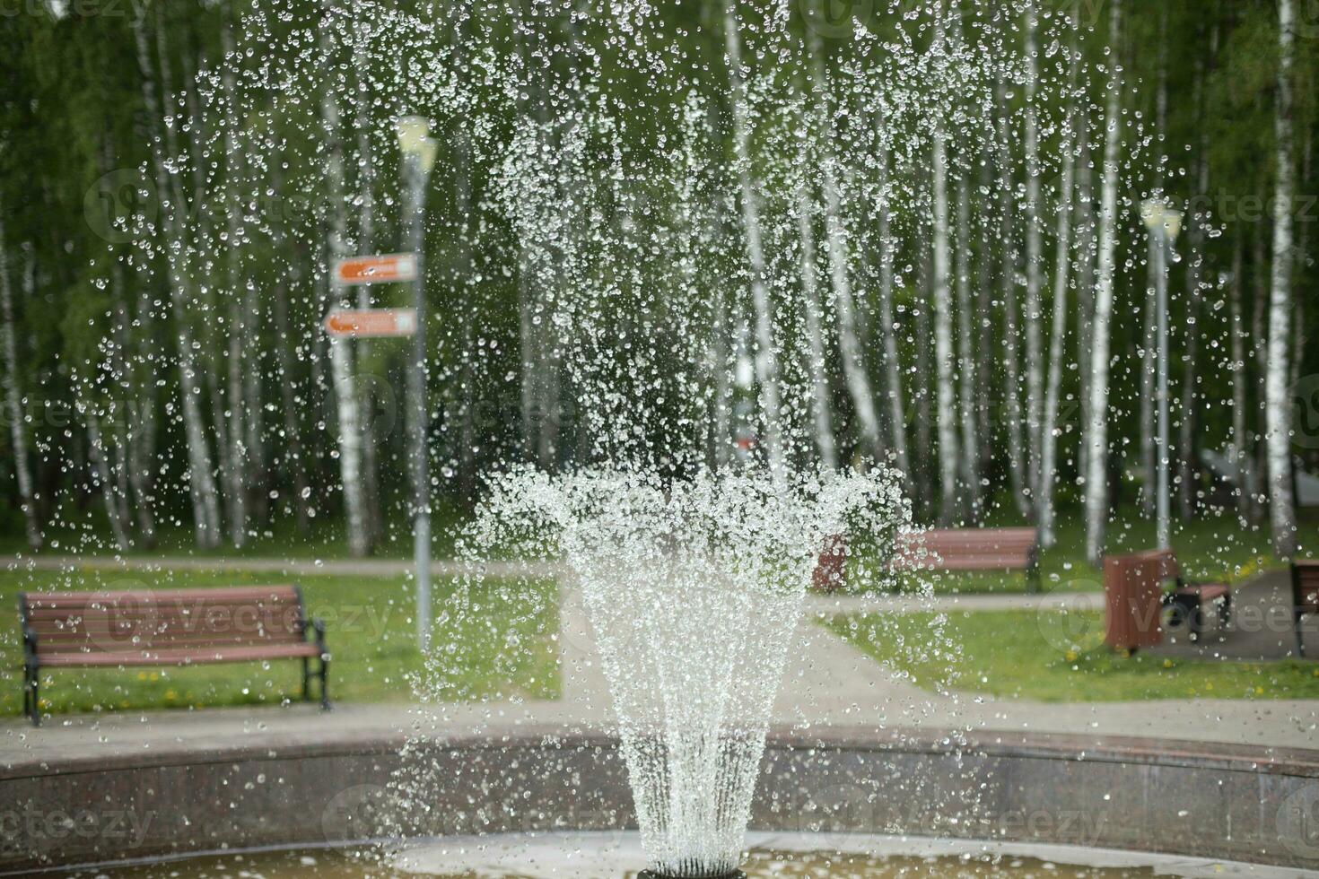 Fontaine dans parc. jets de l'eau. parc dans ville. photo
