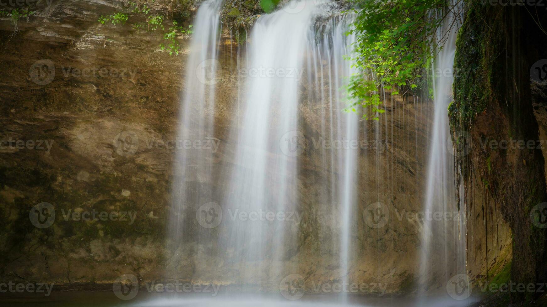 calme forêt cascade photo