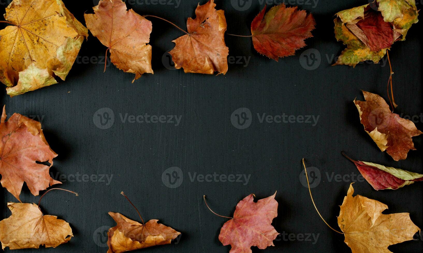 séché érable feuilles sur une noir tableau noir. photo