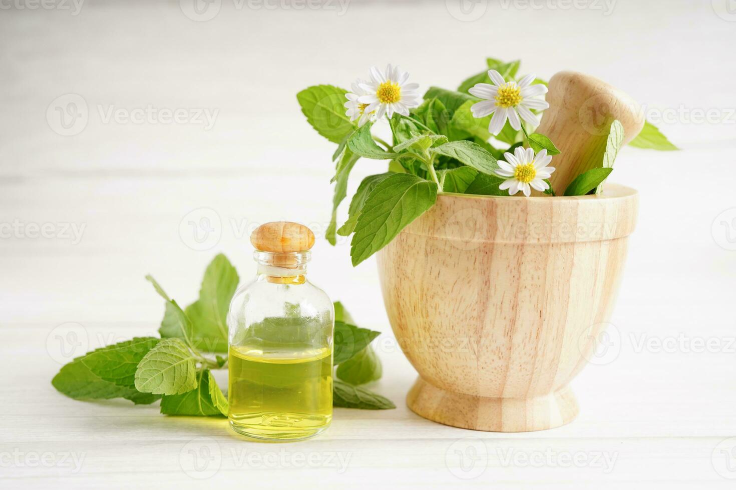 capsule biologique à base de plantes de médecine alternative avec vitamine e oméga 3 huile de poisson, minéral, médicament avec feuilles d'herbes suppléments naturels pour une bonne vie saine. photo