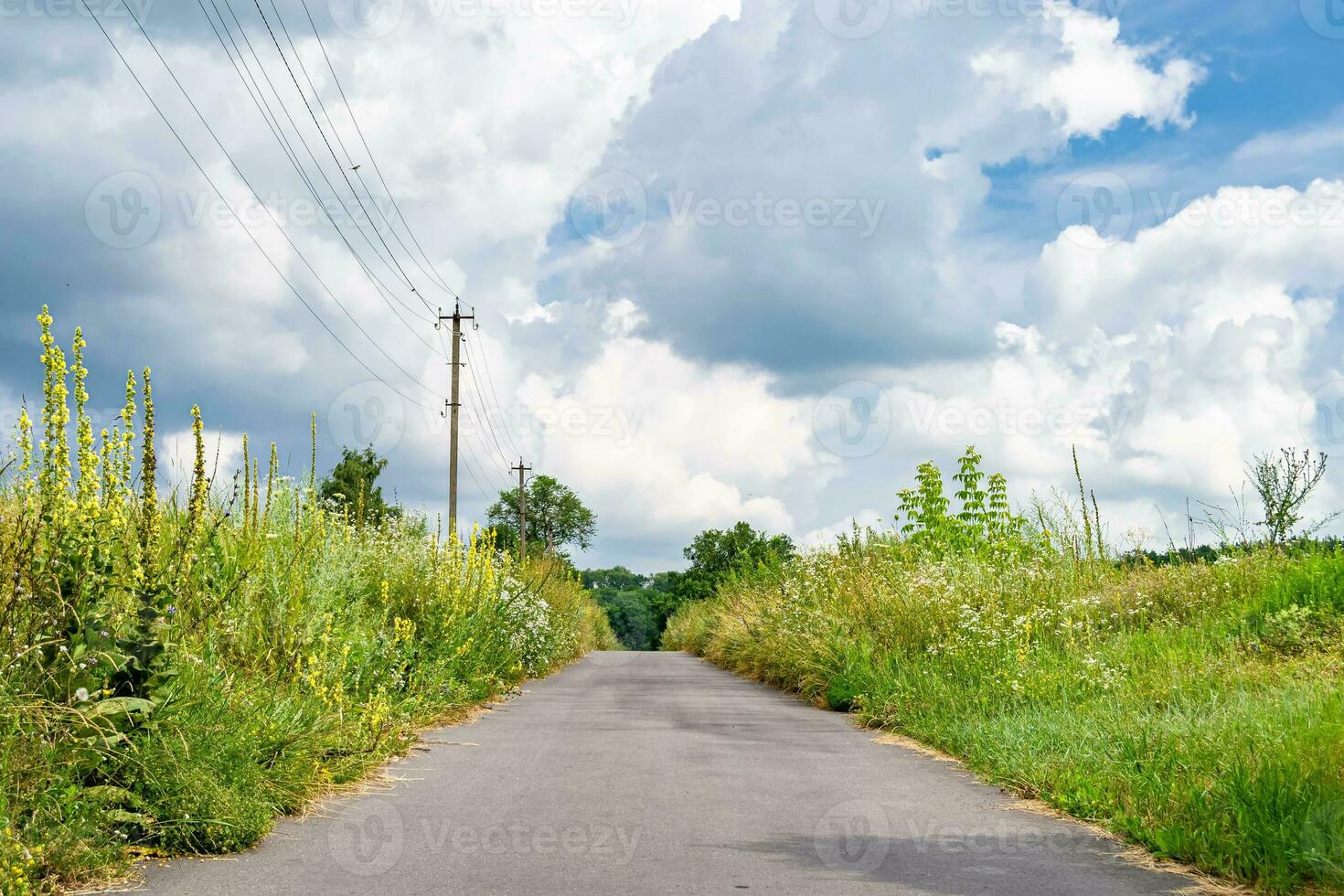 belle route goudronnée vide en campagne sur fond coloré photo