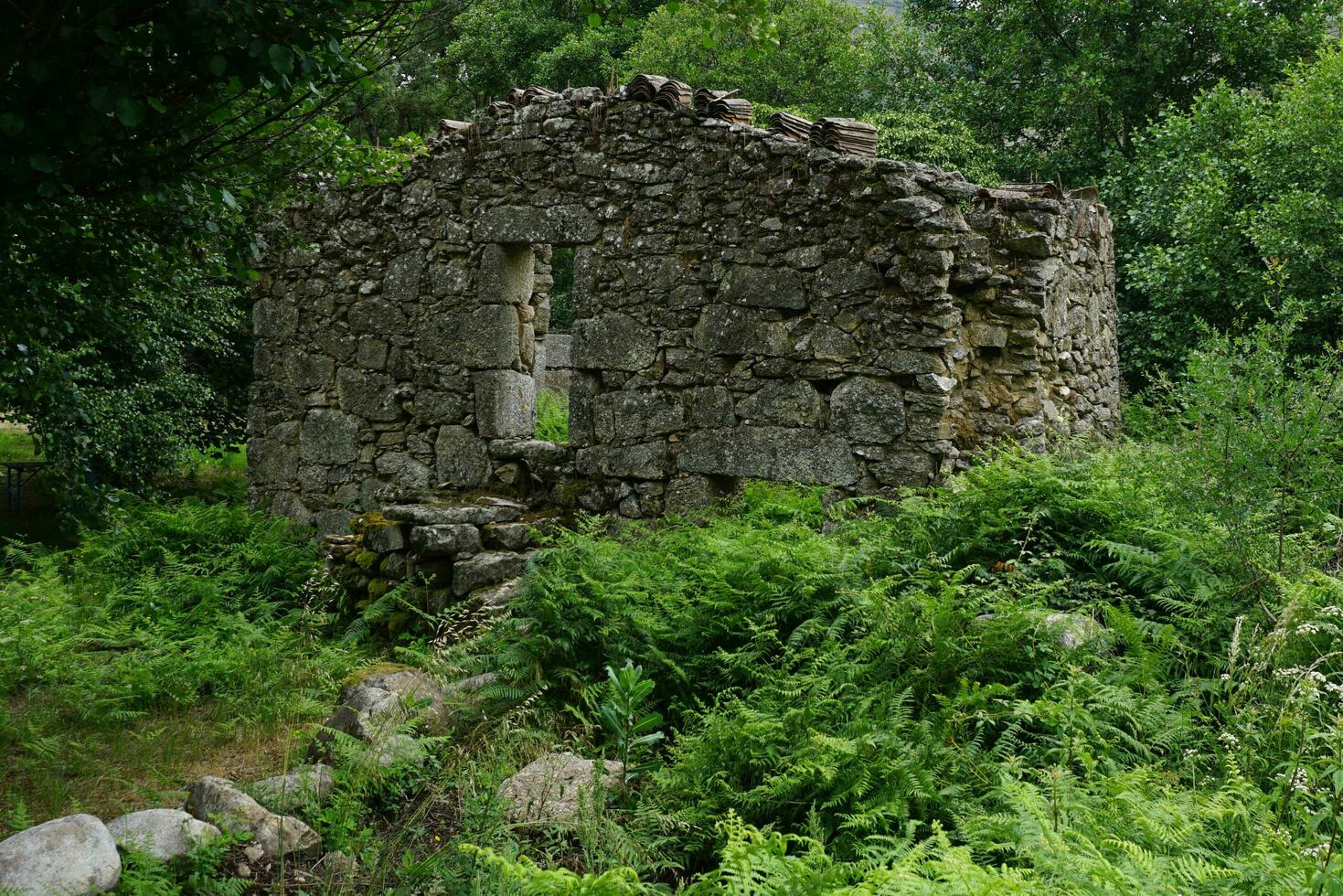 ruines de traditionnel pierre maison avec disparu toit entouré avec vert végétation photo