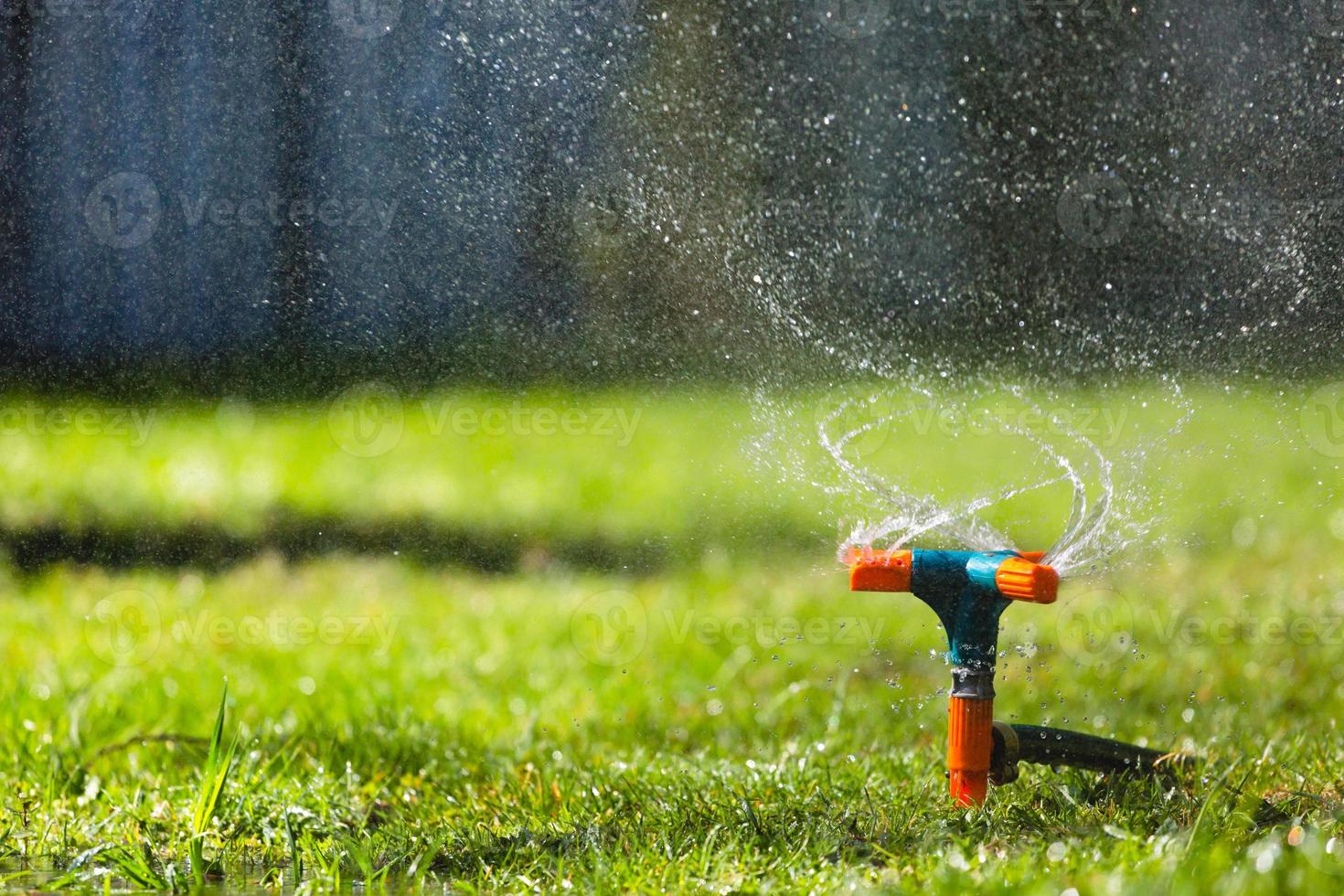 arrosage de l'herbe d'arrosage de jardin photo