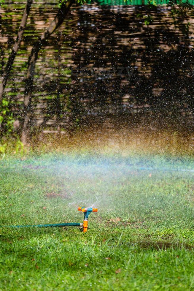 arrosage de l'herbe d'arrosage de jardin photo