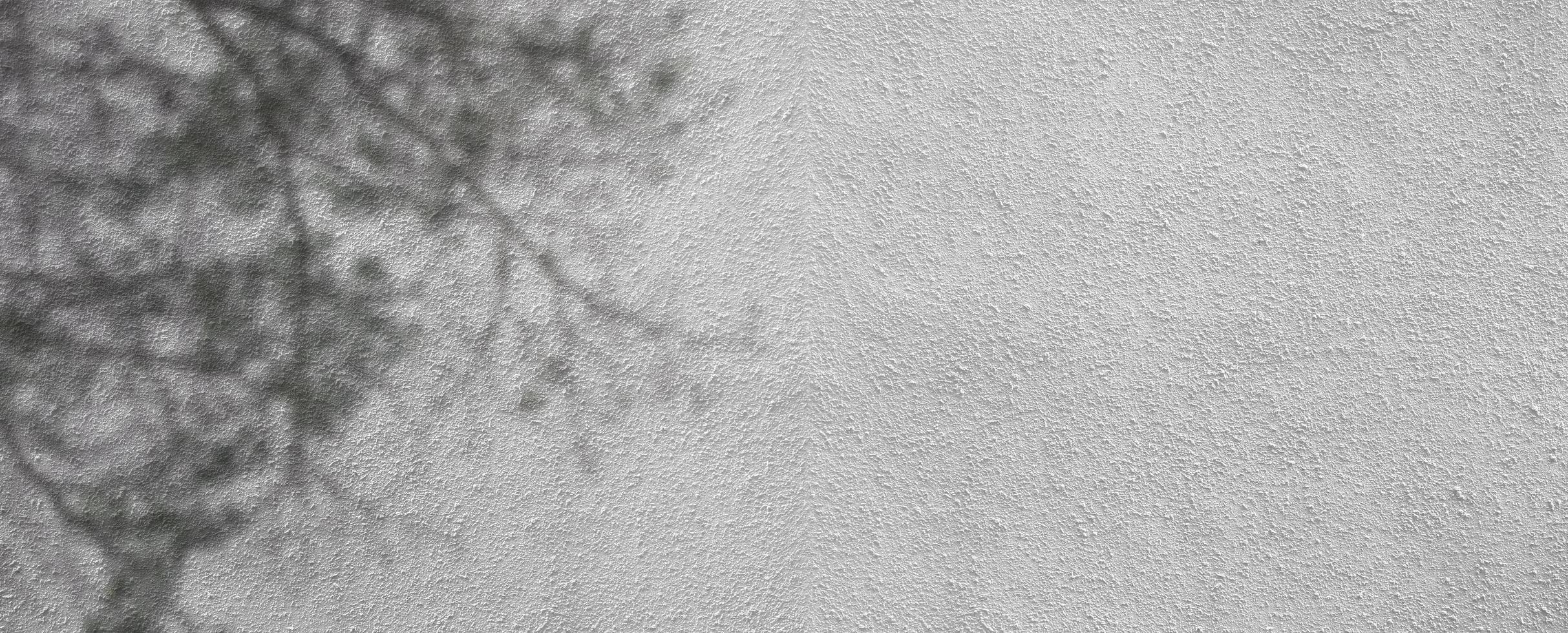 Fond de texture de mur de ciment blanc avec texture rugueuse de l'ombre des arbres photo