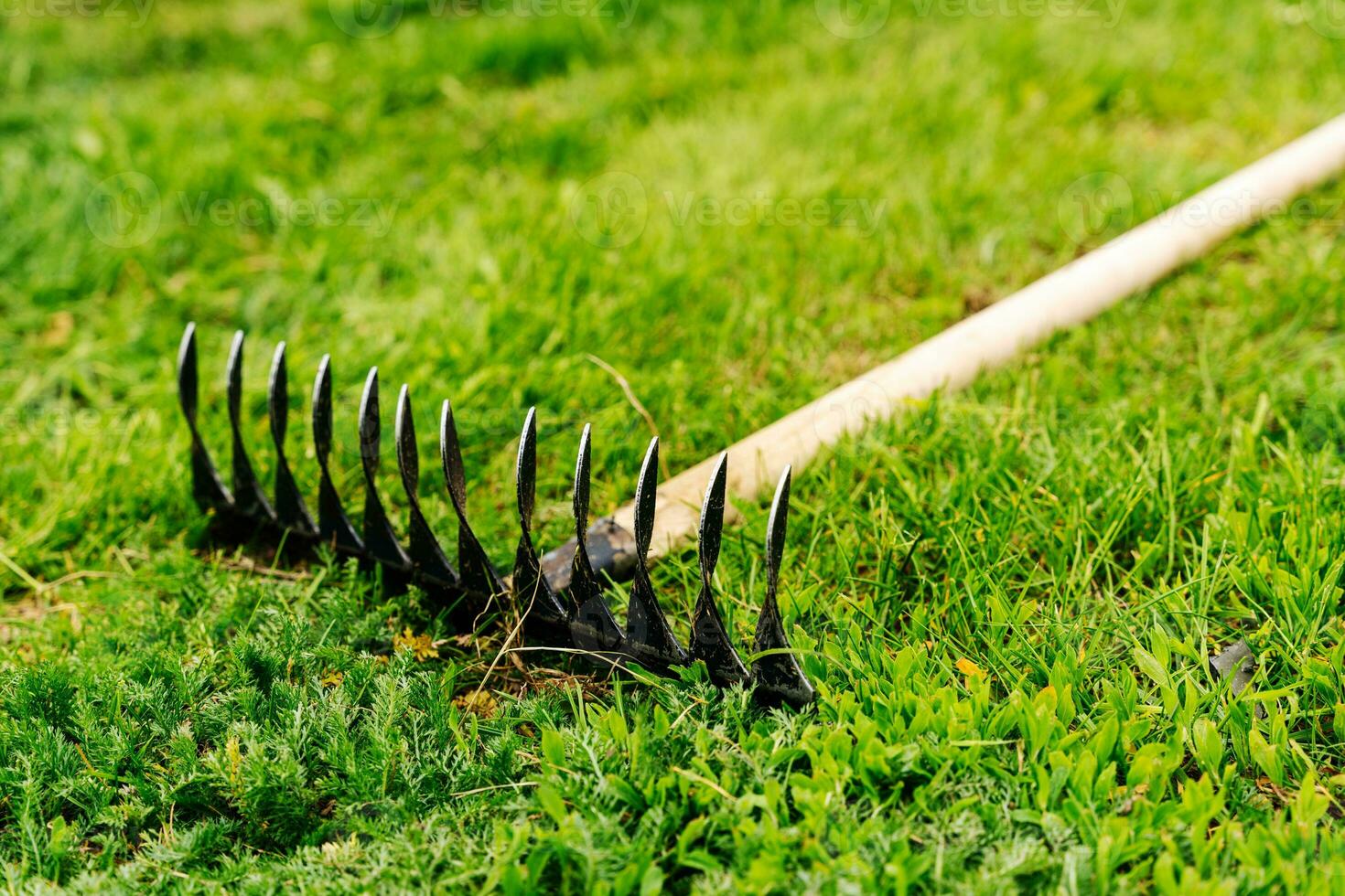 une métal jardin râteau avec une en bois manipuler mensonges sur une vert pelouse photo