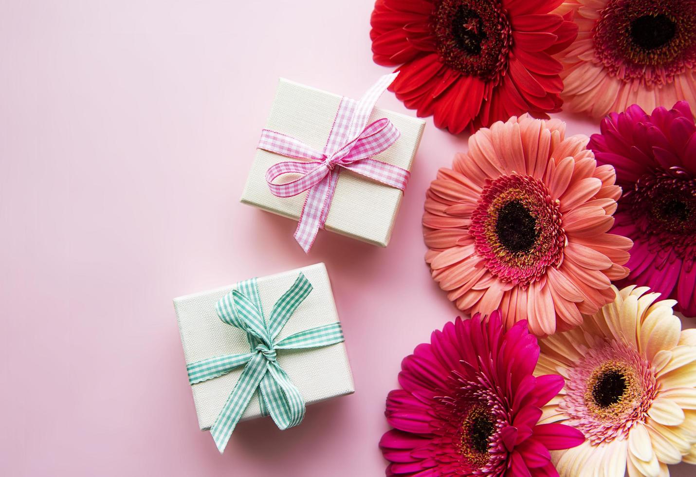 Fleurs de gerbera et coffrets cadeaux sur fond rose photo