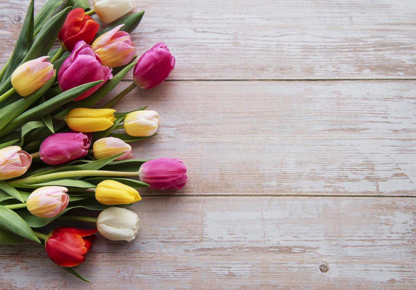 tulipes de printemps sur un fond en bois photo