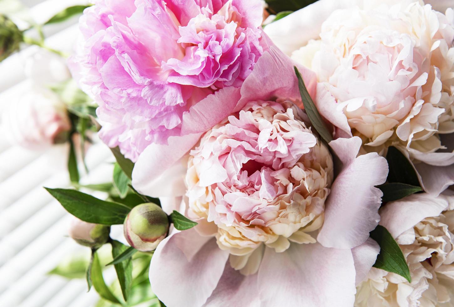 beau bouquet de pivoine rose dans un vase. photo