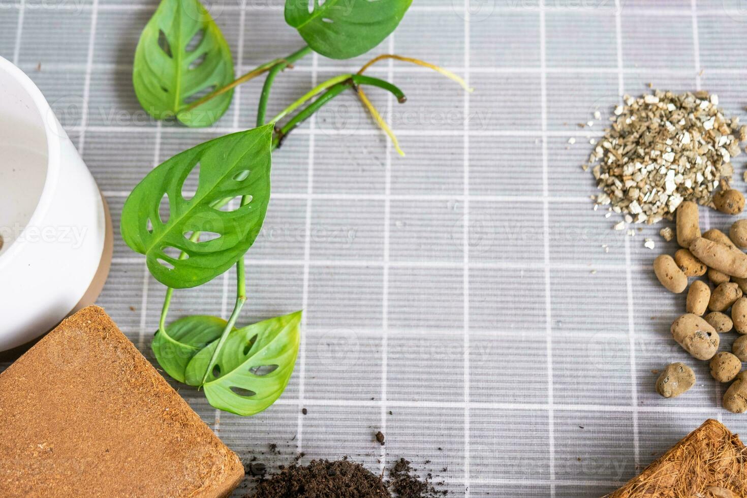 Ingrédients pour le sol de Accueil mis en pot végétaux, tourbe, Terre,  sable, perlite, vermiculite, noix de coco. une mélange pour plantation les  plantes dans une pot. disposition 25109031 Photo de stock