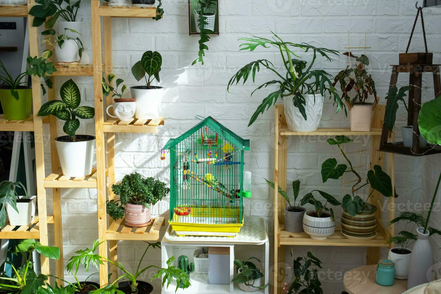 une cage avec une perruche des stands dans une vivant coin de le maison  parmi rayonnage