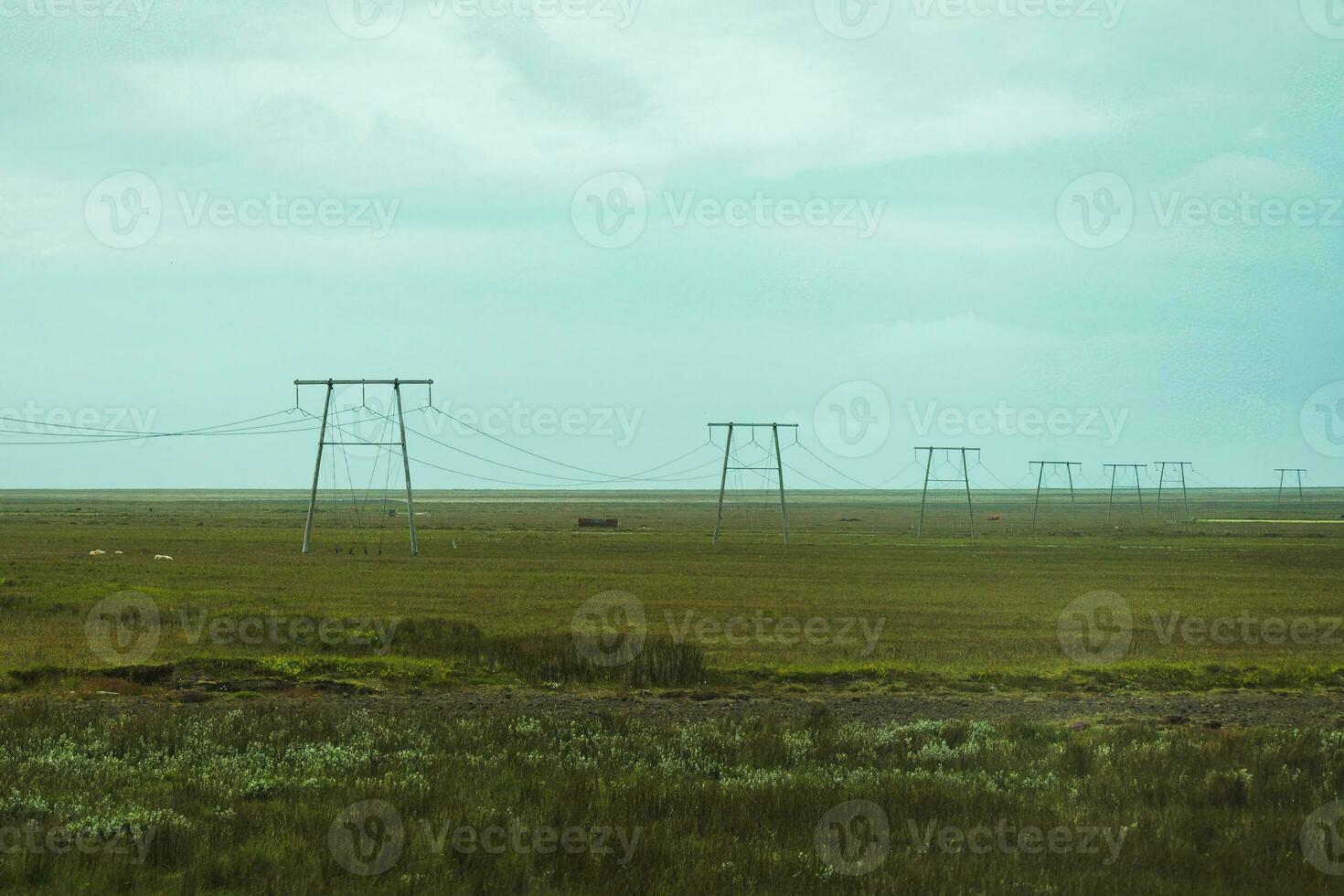 en bois utilitaire pôle ou électrique pôle avec câble câble sur agriculture zone dans rural sur été à Islande photo