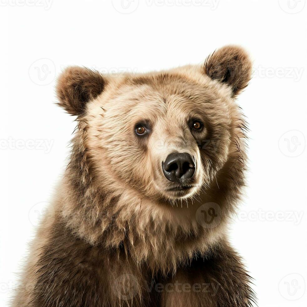 mignonne ours sur une blanc Contexte avec espace pour texte. génératif ai. photo