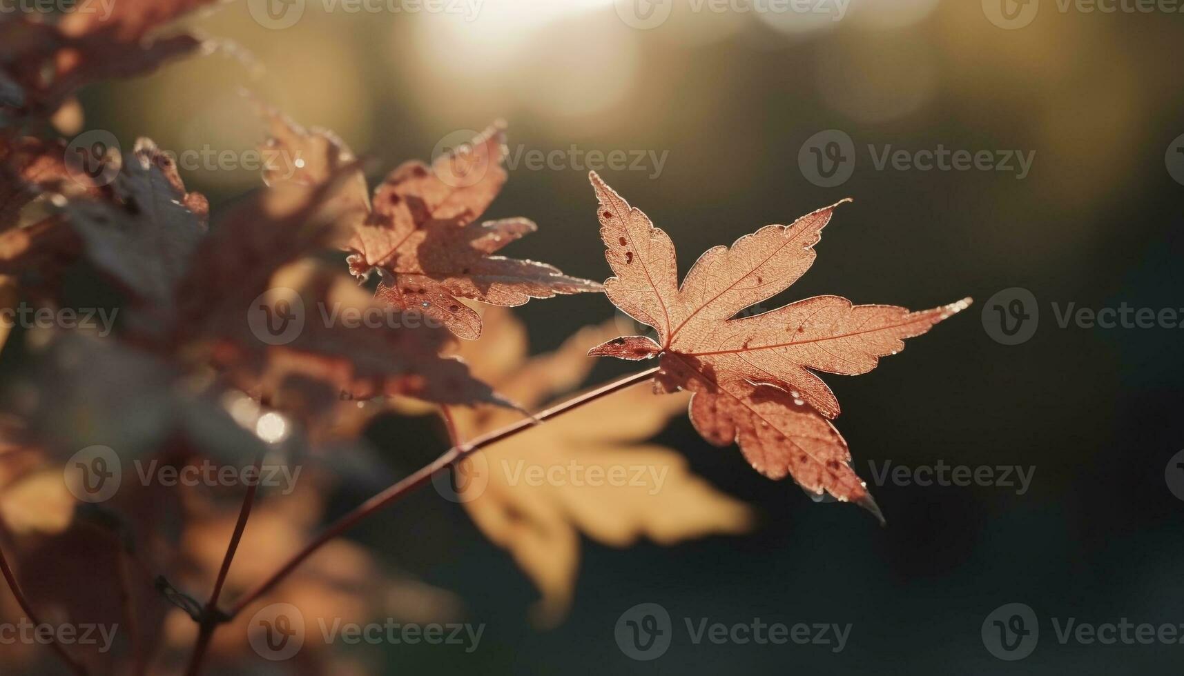 vibrant l'automne feuillage sur érable arbre branche dans Naturel forêt généré par ai photo