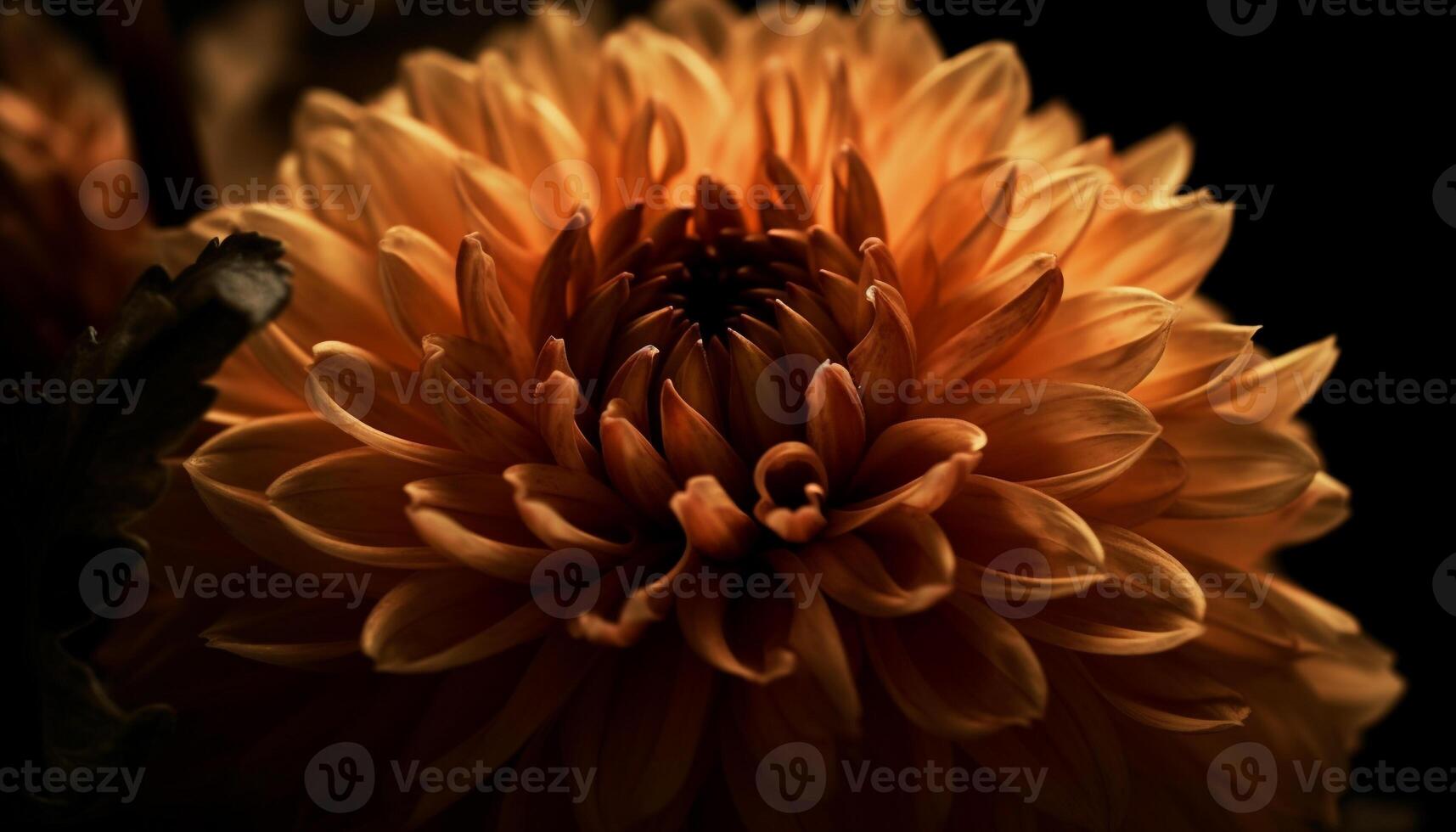 vibrant pétales de multi coloré fleurs dans une humide jardin généré par ai photo