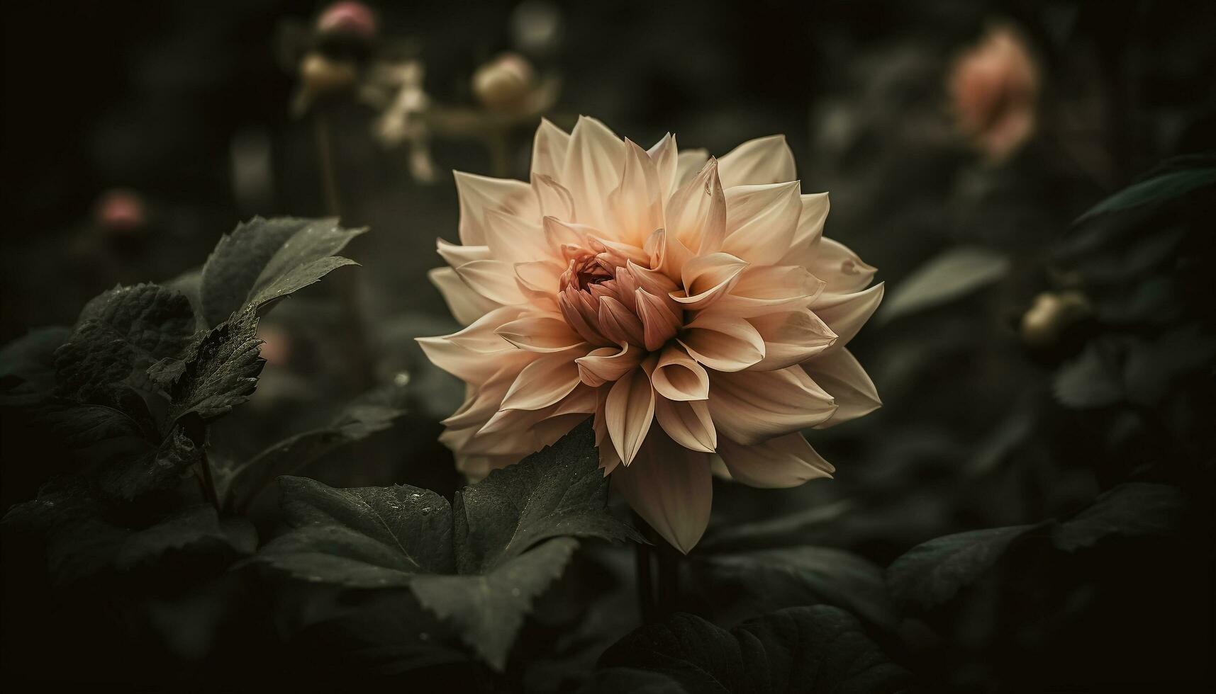 vibrant floral bouquet symbolise élégance et beauté dans la nature croissance généré par ai photo