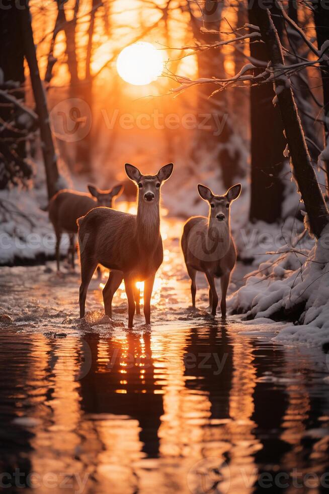 étourdissant la photographie de une troupeau de cerf dans congelé forêt. ai génératif photo